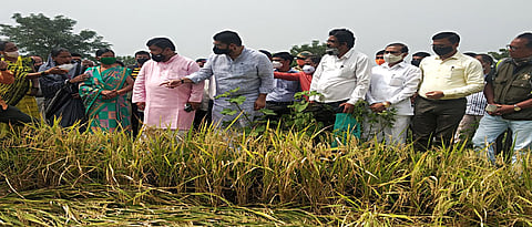 BJP Leader Pravin Darekar Visited Affected Farms In Jawoli taluka With MLA Shivendraraje Bhosale