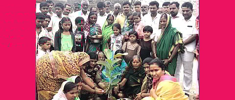 मेघना बोर्डीकरांनी १५० वडांची झाडे लावून केली वटपौर्णिमा साजरी