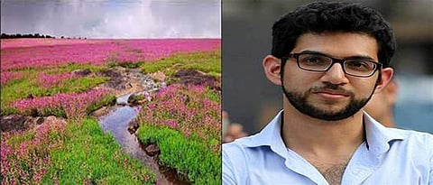 Aditya Thackeray to visit Kas after Diwali