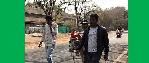 पुणे विद्यापीठाच्या पदवीप्रदान समारंभात घोड्याला पुणेरी पगडी घालून आंदोलन