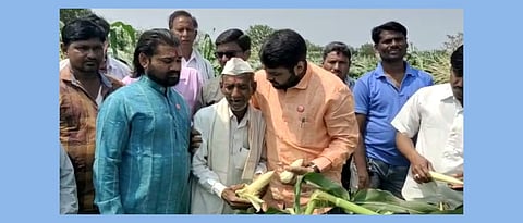 वादळी वाऱ्यासह अवकाळी पावसाने मंगळवारी लावलेल्या हजेरीने झालेल्या नुकसानीची पाहणी स्वाभिमानी शेतकरी संघटनेचे नेते रविकांत तुपकर यांनी केली.