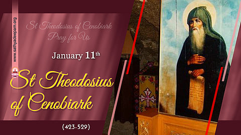 വിശുദ്ധ തെയഡോഷ്യസ് സെനോബിയാര്ക്ക് (423-529) : ജനുവരി 11