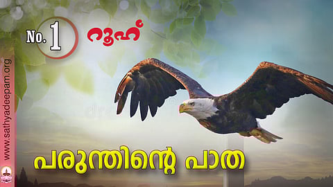 പരുന്തിന്റെ പാത