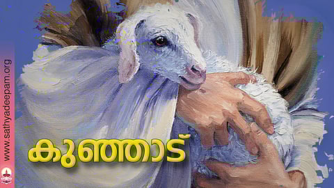 കുഞ്ഞാട്