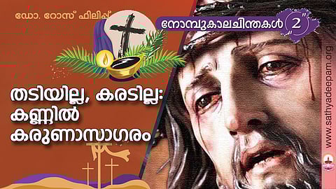 തടിയില്ല, കരടില്ല: കണ്ണില് കരുണാസാഗരം