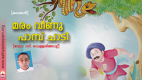 മരം വീണു പാമ്പ് ചാടി