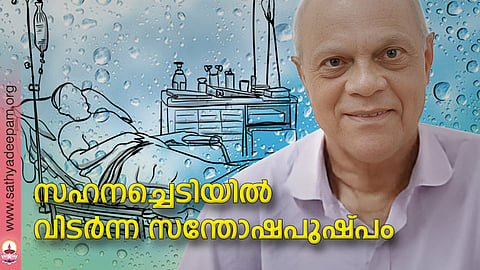 സഹനച്ചെടിയില് വിടര്ന്ന സന്തോഷപുഷ്പം