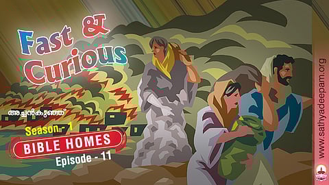 FAST & CURIOUS