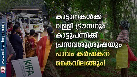 കാട്ടാനകള്ക്ക് വള്ളി ട്രൗസറും കാട്ടുപന്നിക്ക് പ്രസവശുശ്രൂഷയും... പാവം കര്ഷകന് കൈവിലങ്ങും!