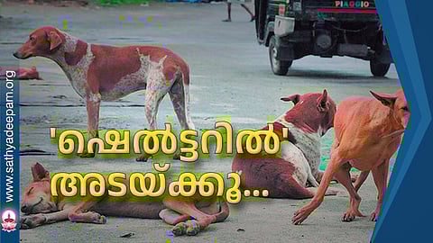 'ഷെല്ട്ടറില്' അടയ്ക്കൂ...
