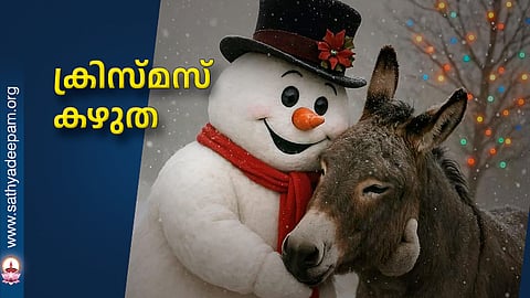 ക്രിസ്മസ് കഴുത