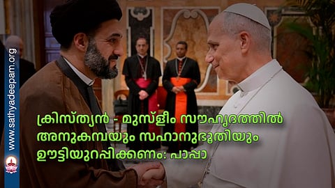 ക്രിസ്ത്യന് - മുസ്ളീം സൗഹൃദത്തില് അനുകമ്പയും സഹാനുഭൂതിയും ഊട്ടിയുറപ്പിക്കണം: പാപ്പാ