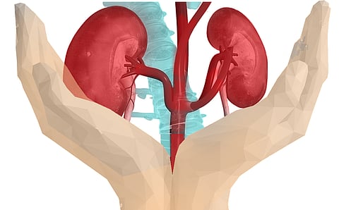 അവയവദാനം: സംശയങ്ങളും പ്രതികരണങ്ങളും