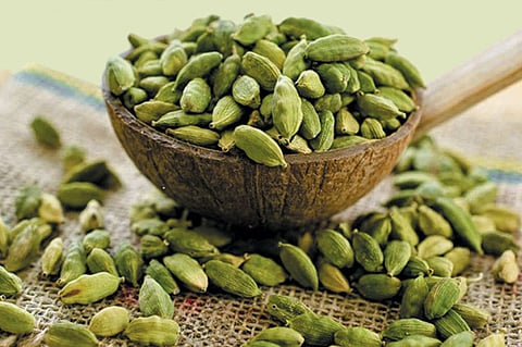 ഔഷധഗുണങ്ങളുടെ കലവറ ഏലക്കാ