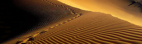 മരുഭൂമി