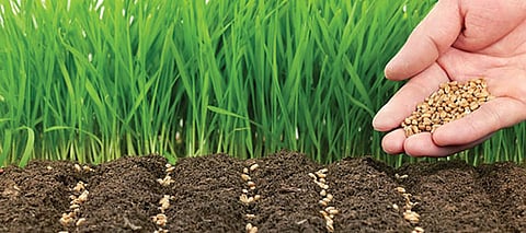 നല്ല നിലത്തിന്റെ വിസ്തൃതി വര്ദ്ധിപ്പിക്കുക