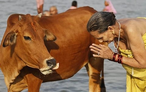 ബീഫ് നിരോധനം വളഞ്ഞ വഴിയിലൂടെ