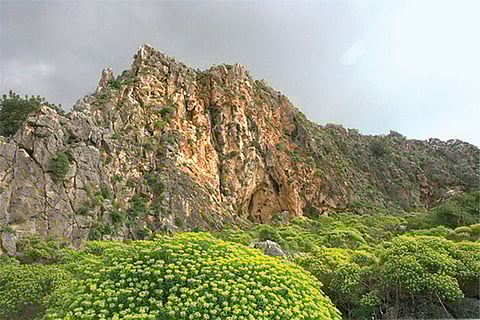 കർമ്മലീത്ത സഭയുടെ ഉൽഭവം