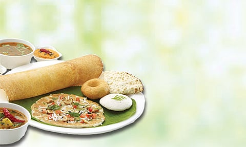 മലയാളിയെ പിടികൂടിയ നീരാളി