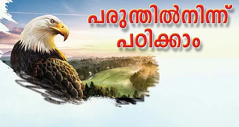 പരുന്തില്‍നിന്നും പഠിക്കാം