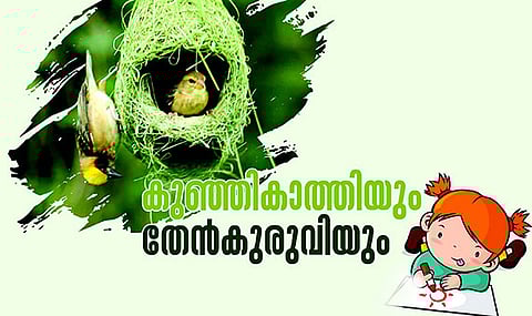 കുഞ്ഞികാത്തിയും തേൻകുരുവിയും