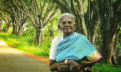 മരങ്ങളെ മക്കളാക്കിയ മുത്തശ്ശി