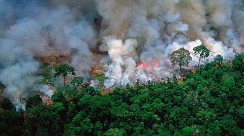 ആമസോണ് കാട്ടുതീ: മാര്പാപ്പ ആശങ്ക പ്രകടിപ്പിച്ചു