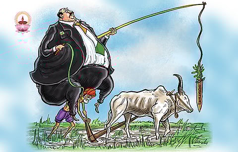 ചിലന്തിവലയും നിയമങ്ങളും