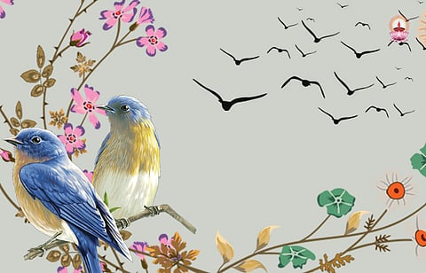 പുലരിക്കാഴ്ച