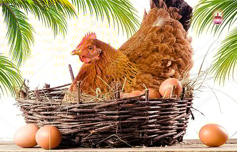 ദൈവമക്കളാവണോ, ചേര്ന്ന് നിന്നോളൂ…