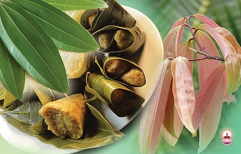 വഴനയുടെ ഗുണങ്ങള്