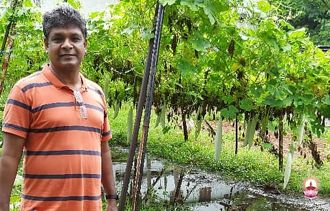 അമല ഡയറക്ടര് ഫാ. ജൂലിയസ് അറയ്ക്കല് കൃഷിയിലും മുമ്പില്