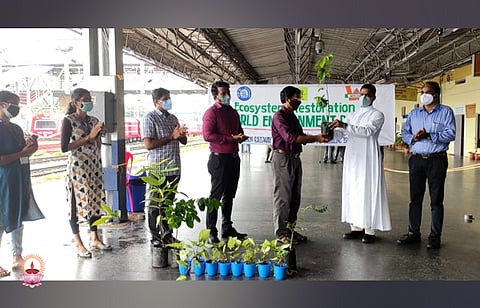 പരിസ്ഥിതി ദിനാഘോഷം സംഘടിപ്പിച്ചു