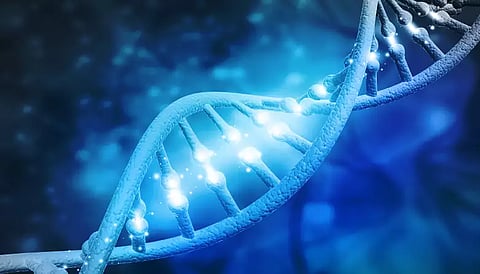Researchers move to identify genes that put some at severe corona risk