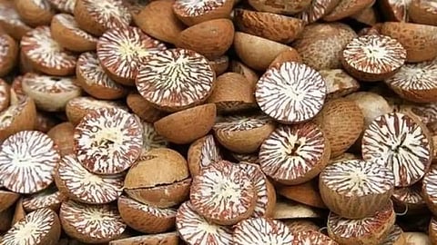 Guwahati: Youth arrested for illegal supari business