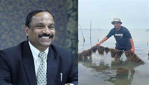 Cherry blossom pioneer’s antidote to climate crisis: ‘Indian Seaweeds Wheel’