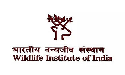 Wildlife Institute of India Recruitment 2024 - Project Assistant Vacancy, Job Openings