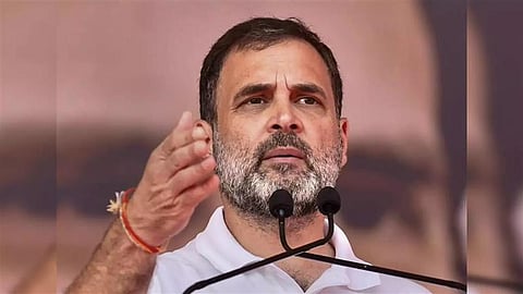 Country cannot develop without social & financial justice: Rahul Gandhi