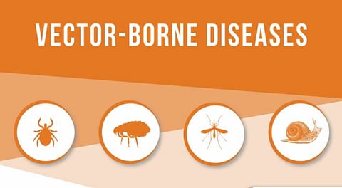 Arunachal Pradesh: Review meet on vector-borne diseases organized at Naharlagun