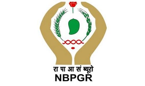 NBPGR Recruitment 2024 - Senior Research Fellow Vacancy, Latest Jobs