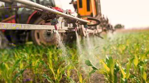 Assam: Sale of hazardous pesticide on government’s radar