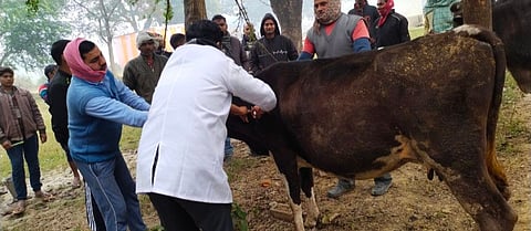 Nagaon Sadar Veterinary Hospital organized animal health fair under Self Priority Fund 2023-24 at Bhutai- Pathori