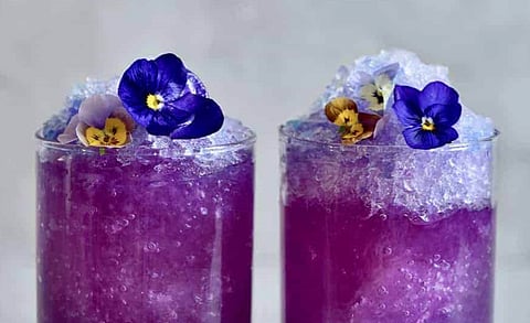 Margarita Madness: Top Margarita Mixes to Try