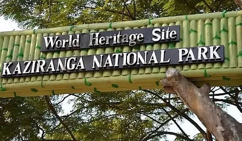 And for Kaziranga too!
