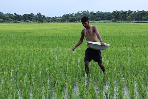 agricultural
