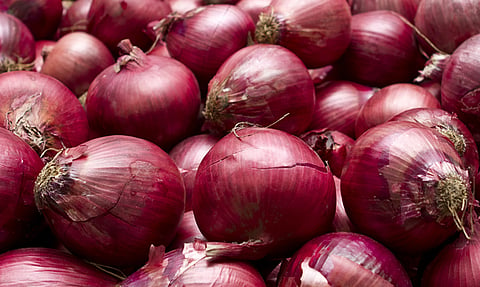 Government extends ban on onion exports