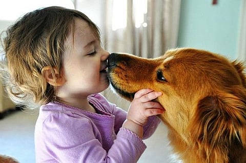 'Humans spread more viruses to animals': Study