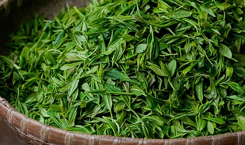 Assam: Tea waste ordered to be sold through e-auction from April 1