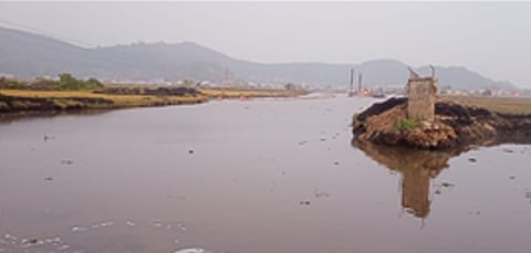 Lamphelpat lake rejuvenation, a triumph for conservation efforts in Manipur