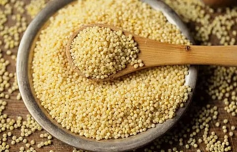 The superfood you didn’t know you needed in life!